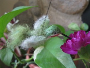 Needle Felted Hummingbird