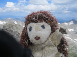 Cupcake the Hedgehog